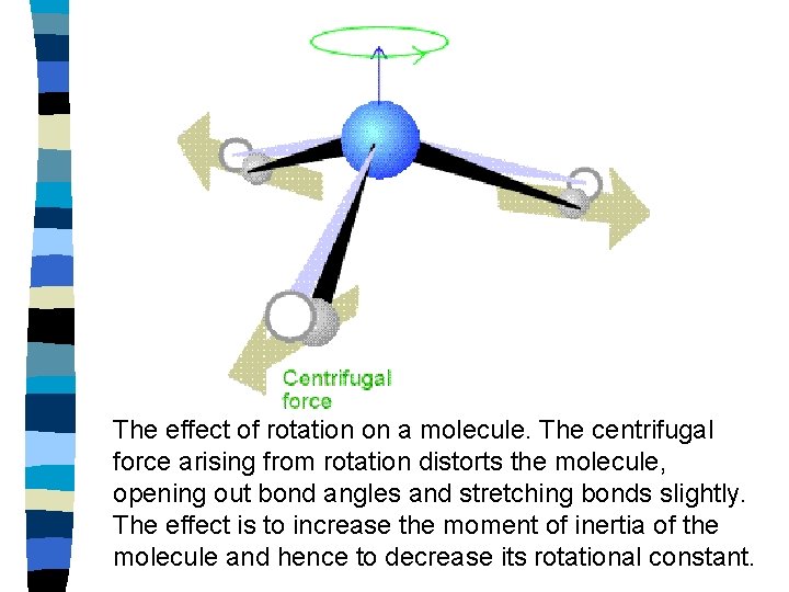 The effect of rotation on a molecule. The centrifugal force arising from rotation distorts