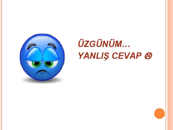 ÜZGÜNÜM… YANLIŞ CEVAP 