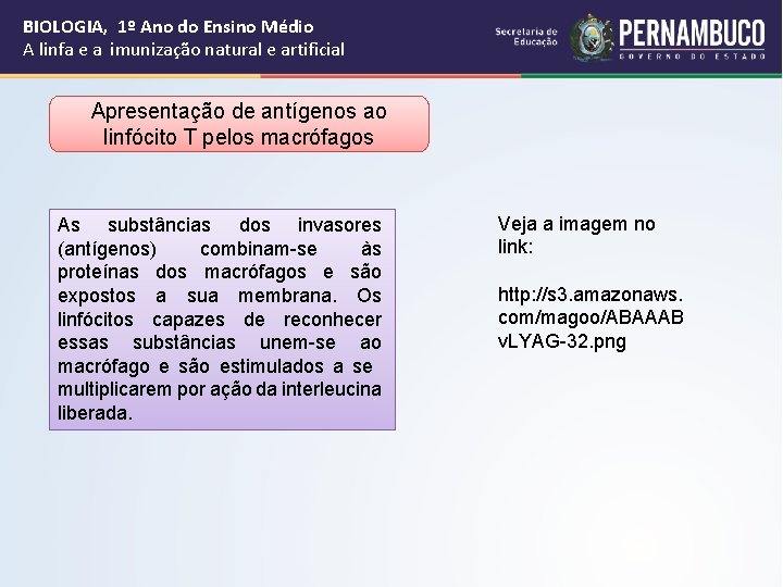 BIOLOGIA, 1º Ano do Ensino Médio A linfa e a imunização natural e artificial