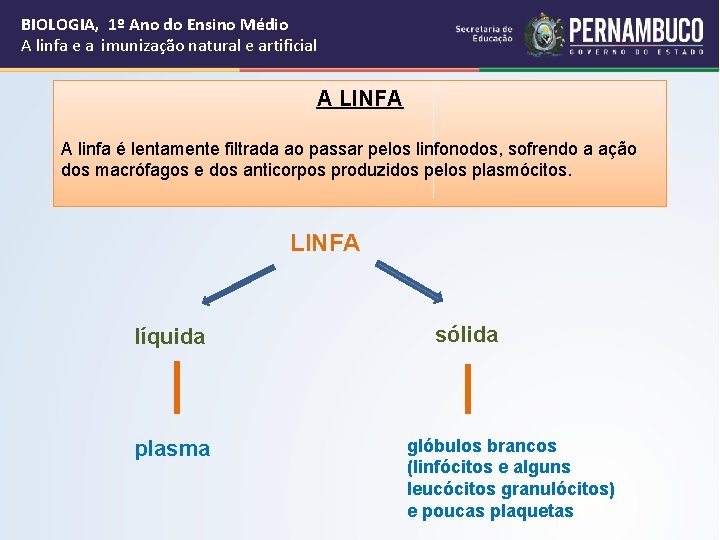 BIOLOGIA, 1º Ano do Ensino Médio A linfa e a imunização natural e artificial