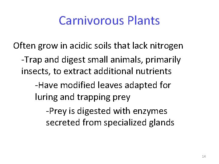 Carnivorous Plants Often grow in acidic soils that lack nitrogen -Trap and digest small