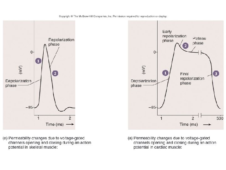 Fig. 12. 14 