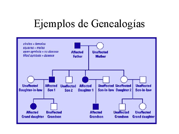 Ejemplos de Genealogías 