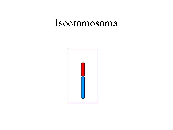 Isocromosoma 