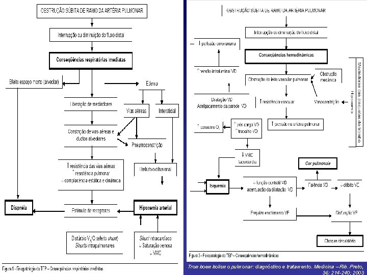 Tromboembolismo pulmonar: diagnóstico e tratamento. Medicina – Rib. Preto, 36: 214 -240; 2003 