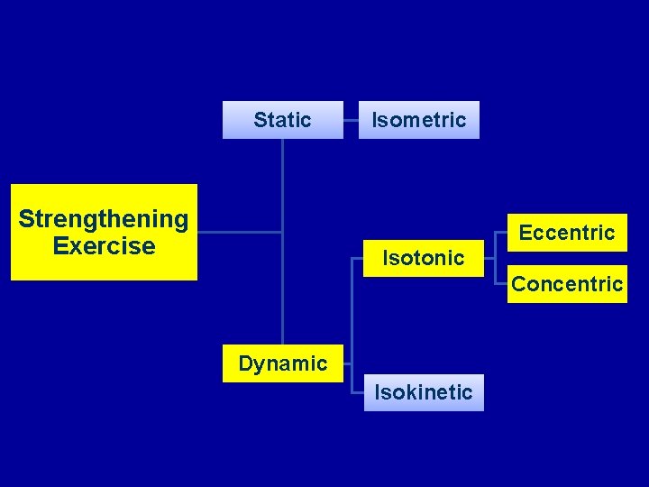 Static Strengthening Exercise Isometric Eccentric Isotonic Concentric Dynamic Isokinetic 