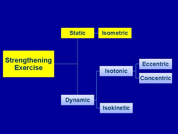 Static Strengthening Exercise Isometric Eccentric Isotonic Concentric Dynamic Isokinetic 