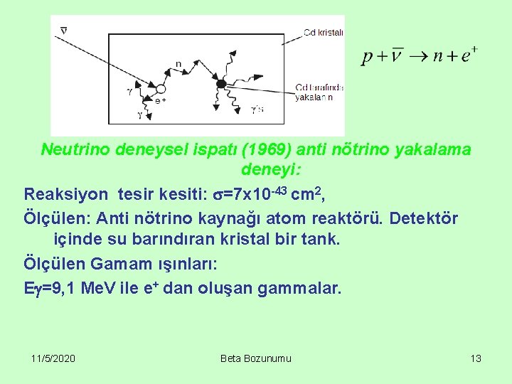 Neutrino deneysel ispatı (1969) anti nötrino yakalama deneyi: Reaksiyon tesir kesiti: =7 x 10