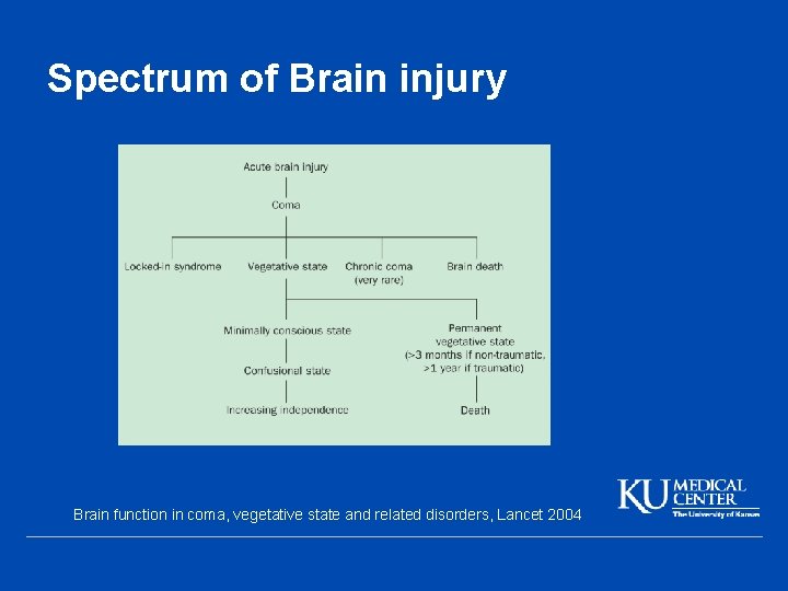 Spectrum of Brain injury Brain function in coma, vegetative state and related disorders, Lancet