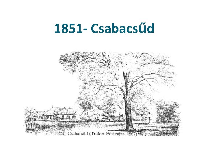 1851 - Csabacsűd Csabacsüd 