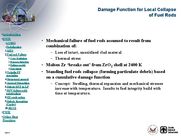 Damage Function for Local Collapse of Fuel Rods • Introduction • BWR –LTSBO –Nodalization
