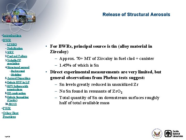 Release of Structural Aerosols • Introduction • BWR – LTSBO – Nodalization 1. S/RV