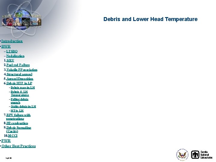 Debris and Lower Head Temperature • Introduction • BWR – LTSBO – Nodalization 1.