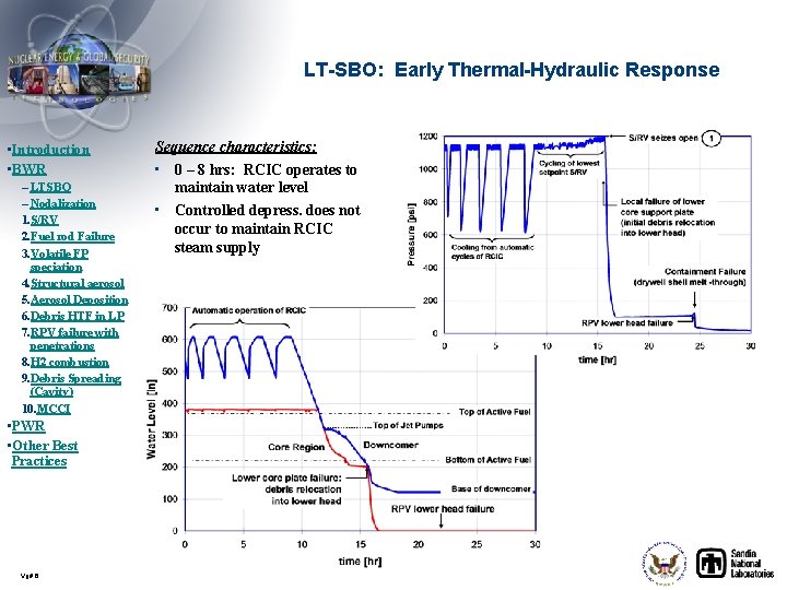 LT-SBO: Early Thermal-Hydraulic Response • Introduction • BWR – LTSBO – Nodalization 1. S/RV