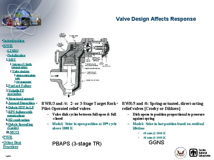 Valve Design Affects Response • Introduction • BWR –LTSBO –Nodalization 1. S/RV 1. Seizure