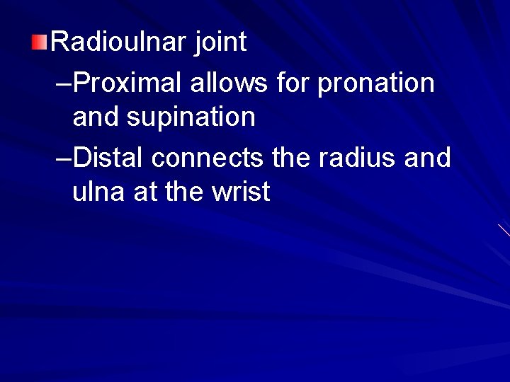 Radioulnar joint –Proximal allows for pronation and supination –Distal connects the radius and ulna