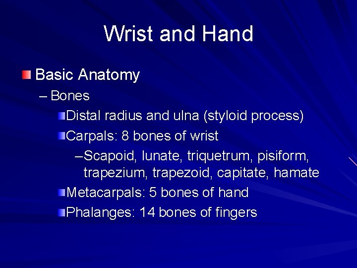 Wrist and Hand Basic Anatomy – Bones Distal radius and ulna (styloid process) Carpals: