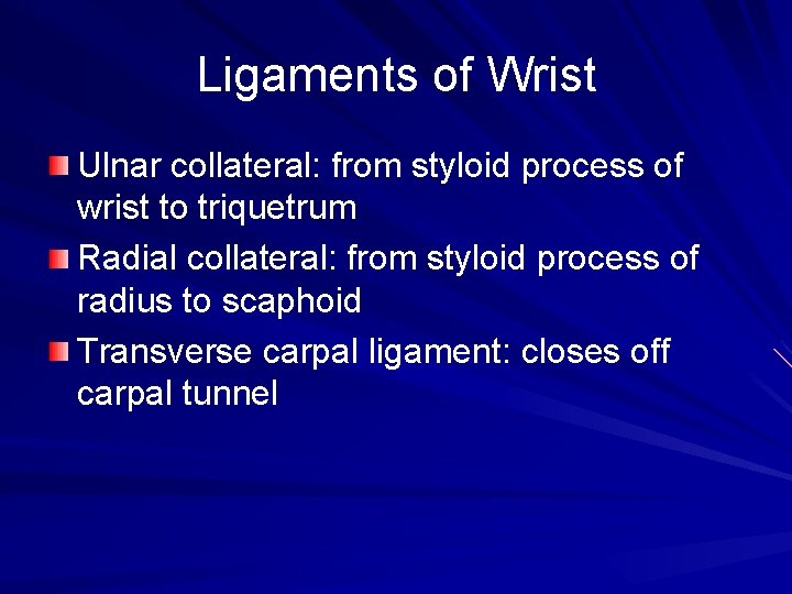 Ligaments of Wrist Ulnar collateral: from styloid process of wrist to triquetrum Radial collateral: