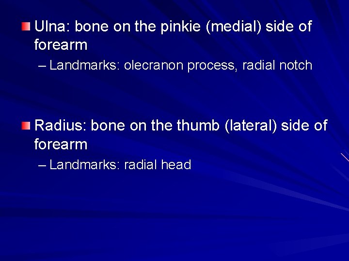 Ulna: bone on the pinkie (medial) side of forearm – Landmarks: olecranon process, radial