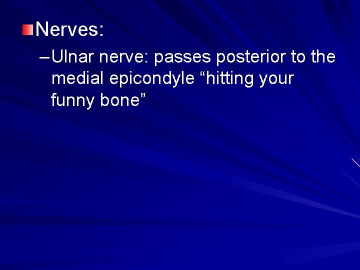 Nerves: – Ulnar nerve: passes posterior to the medial epicondyle “hitting your funny bone”
