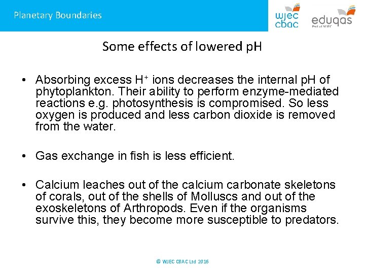 Planetary Boundaries Some effects of lowered p. H • Absorbing excess H+ ions decreases