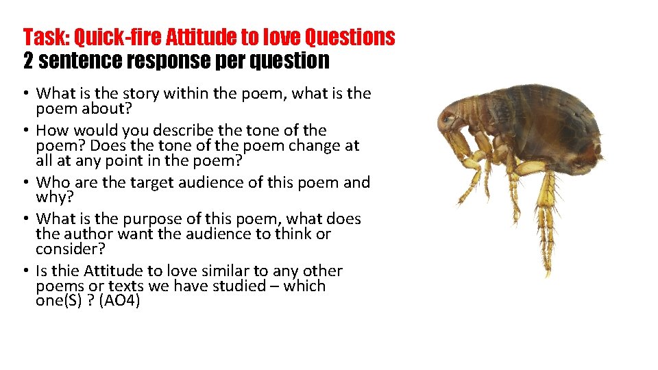 Task: Quick-fire Attitude to love Questions 2 sentence response per question • What is