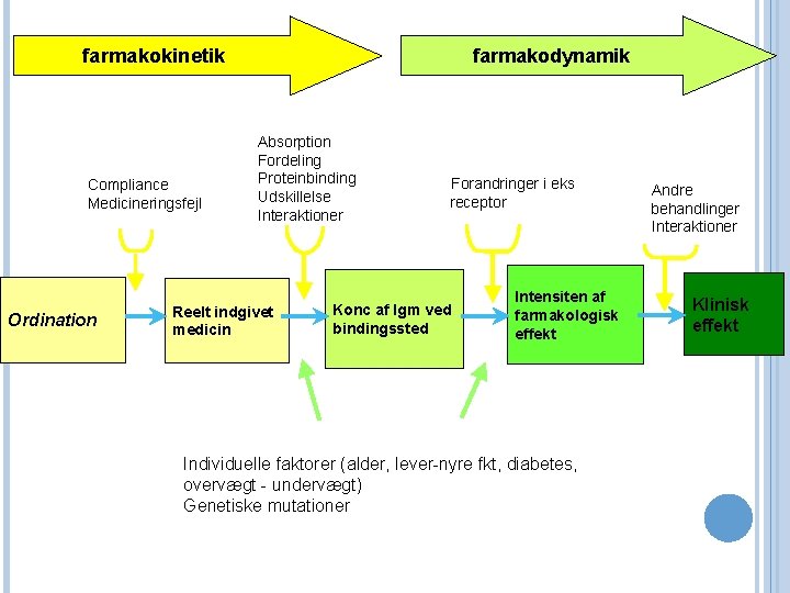 farmakokinetik Compliance Medicineringsfejl Ordination farmakodynamik Absorption Fordeling Proteinbinding Udskillelse Interaktioner Reelt indgivet medicin Forandringer