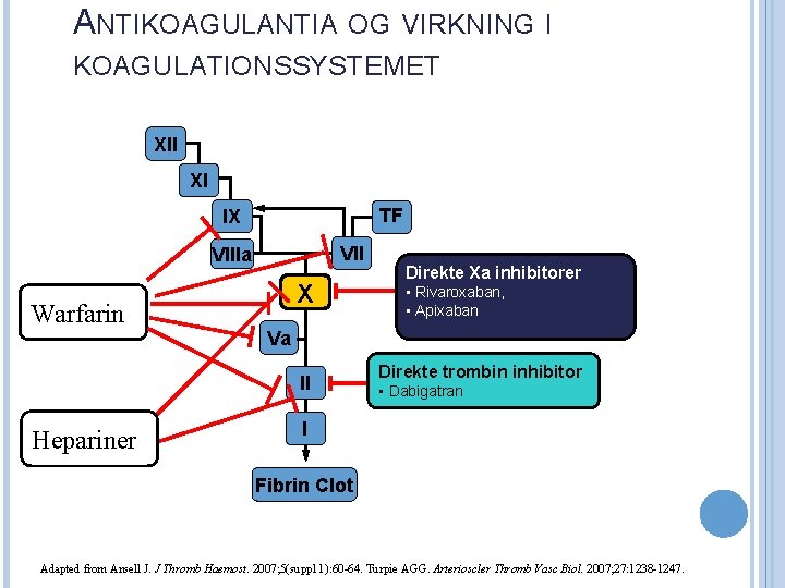 ANTIKOAGULANTIA OG VIRKNING I KOAGULATIONSSYSTEMET Xll Xl TF l. X VIIIa Warfarin X •