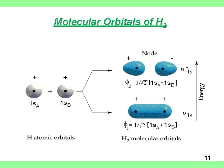 Molecular Orbitals of H 2 11 