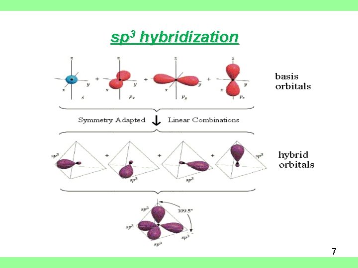 sp 3 hybridization 7 