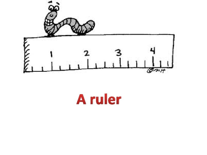A ruler 