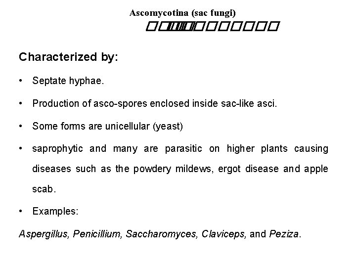 Ascomycotina (sac fungi) ���� �� ���� Characterized by: • Septate hyphae. • Production of