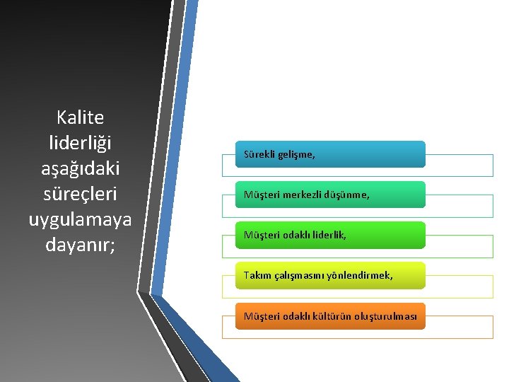 Kalite liderliği aşağıdaki süreçleri uygulamaya dayanır; Sürekli gelişme, Müşteri merkezli düşünme, Müşteri odaklı liderlik,