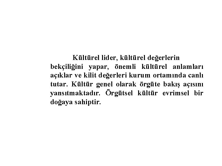Kültürel lider, kültürel değerlerin bekçiliğini yapar, önemli kültürel anlamları açıklar ve kilit değerleri kurum