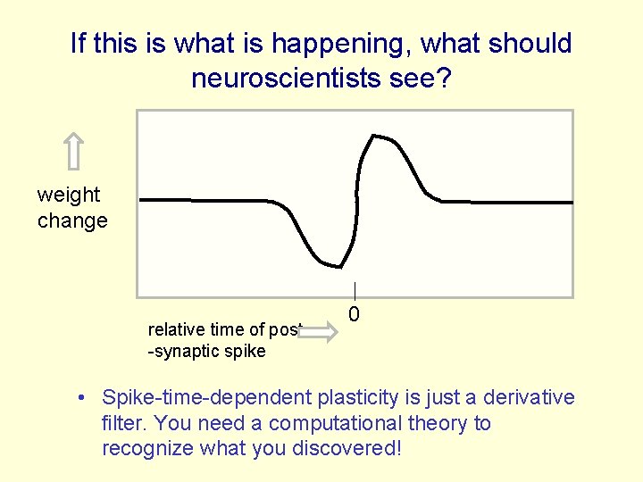 If this is what is happening, what should neuroscientists see? weight change relative time