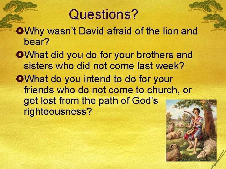 Questions? £Why wasn’t David afraid of the lion and bear? £What did you do