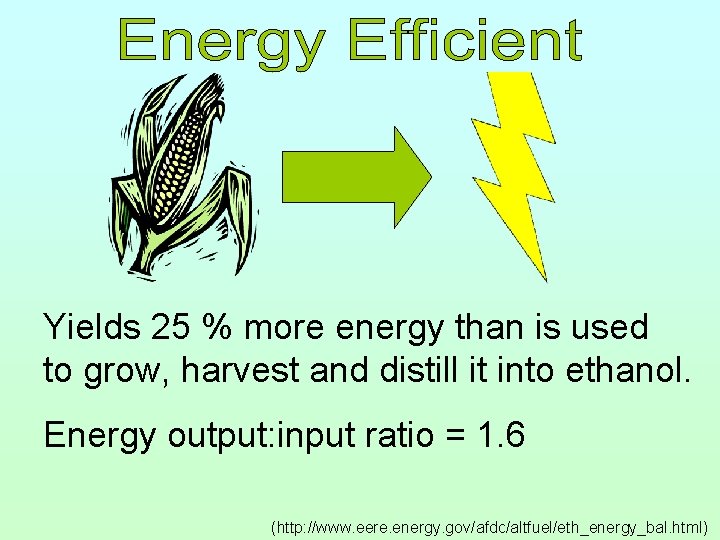 Yields 25 % more energy than is used to grow, harvest and distill it