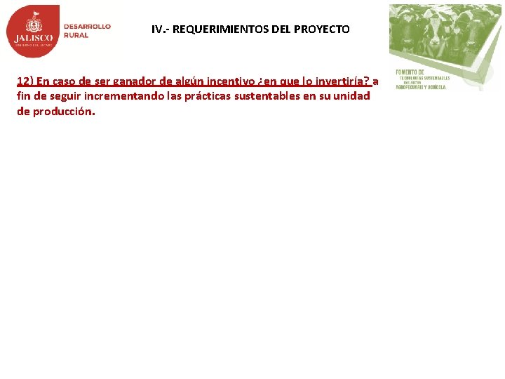 IV. - REQUERIMIENTOS DEL PROYECTO 12) En caso de ser ganador de algún incentivo