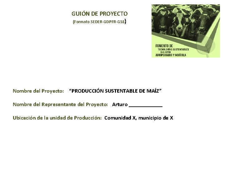 GUIÓN DE PROYECTO (Formato SEDER-GDPFR-G 18) Nombre del Proyecto: “PRODUCCIÓN SUSTENTABLE DE MAÍZ” Nombre