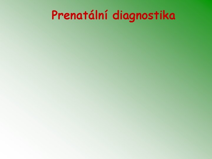 Prenatální diagnostika 