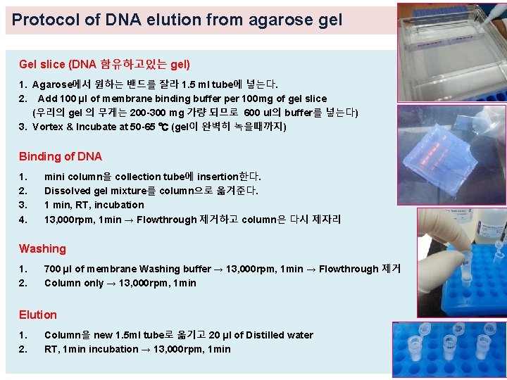 Protocol of DNA elution from agarose gel Gel slice (DNA 함유하고있는 gel) 1. Agarose에서