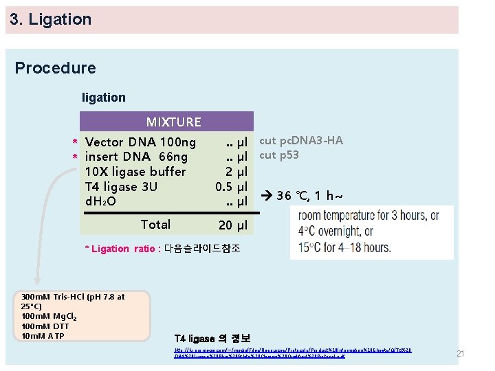 3. Ligation Procedure ligation MIXTURE * Vector DNA 100 ng * insert DNA 66