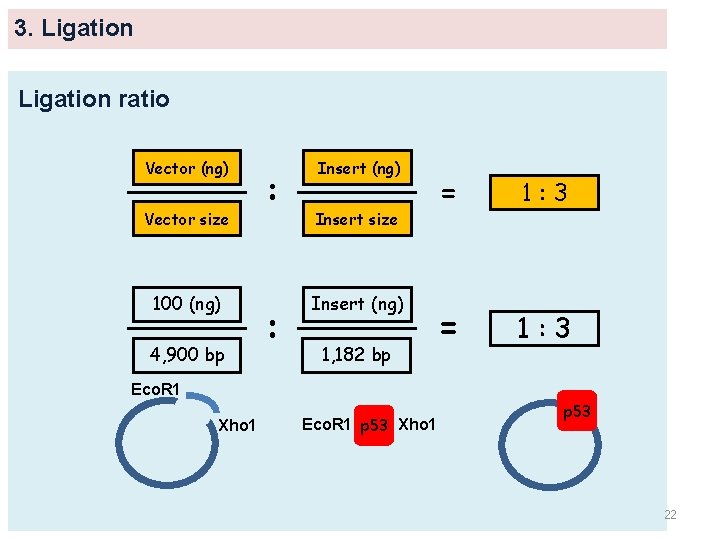 3. Ligation ratio Vector (ng) Vector size 100 (ng) 4, 900 bp : :