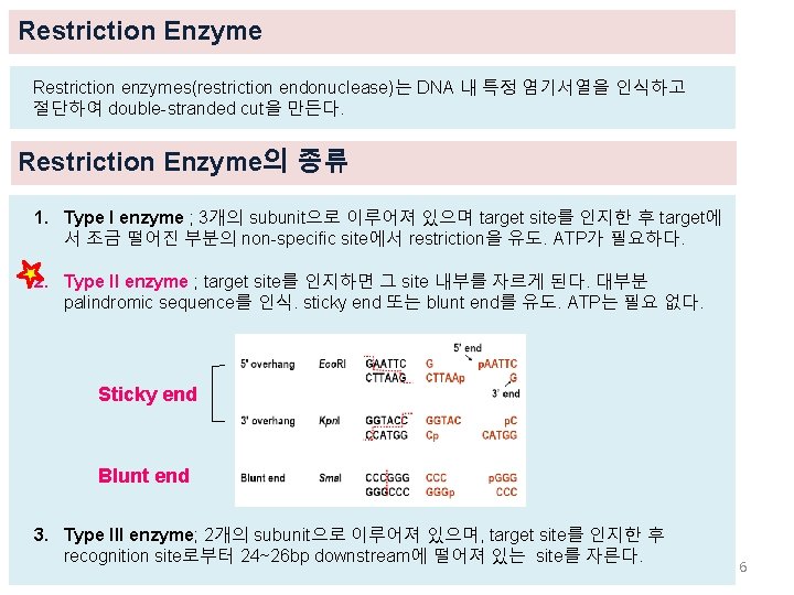 Restriction Enzyme Restriction enzymes(restriction endonuclease)는 DNA 내 특정 염기서열을 인식하고 절단하여 double-stranded cut을 만든다.