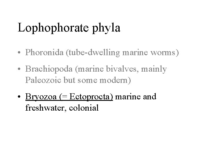 Lophophorate phyla • Phoronida (tube-dwelling marine worms) • Brachiopoda (marine bivalves, mainly Paleozoic but