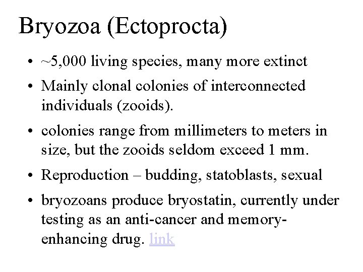 Bryozoa (Ectoprocta) • ~5, 000 living species, many more extinct • Mainly clonal colonies