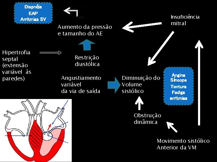 Dispnéia EAP Arritmias SV Insuficiência mitral Aumento da pressão e tamanho do AE Hipertrofia