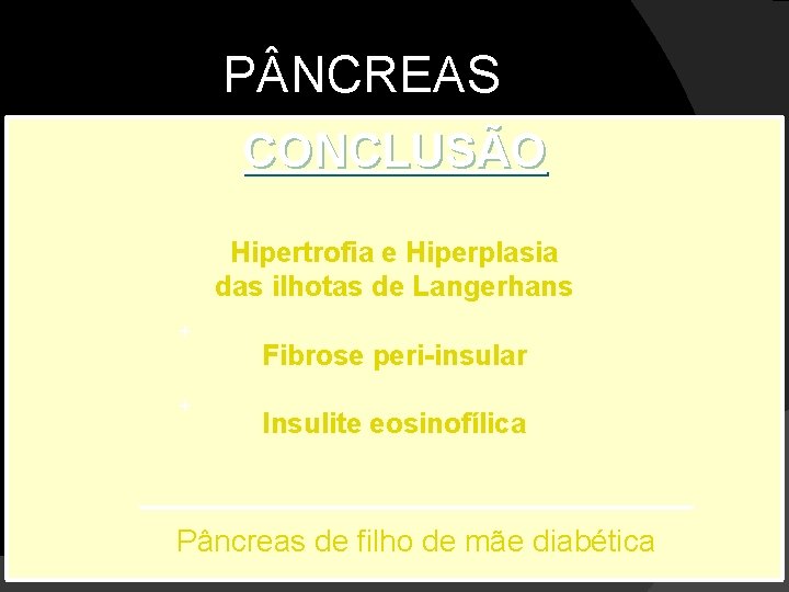 P NCREAS CONCLUSÃO Hipertrofia e Hiperplasia das ilhotas de Langerhans + + Fibrose peri-insular