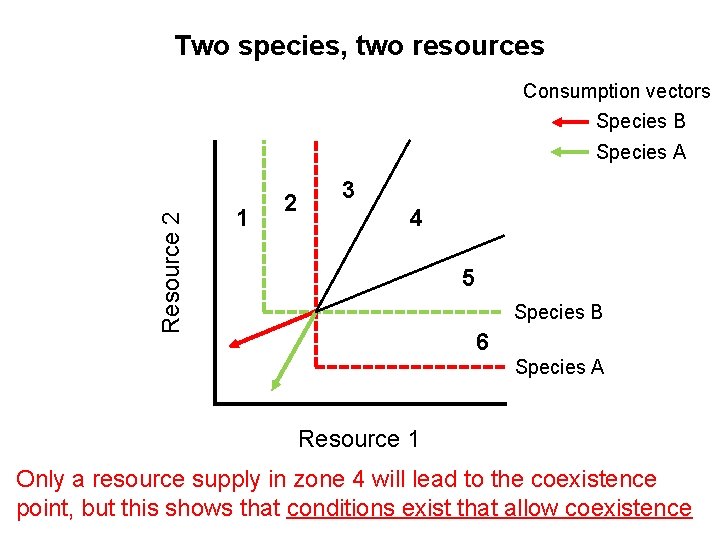 Two species, two resources Consumption vectors Species B Resource 2 Species A 1 2
