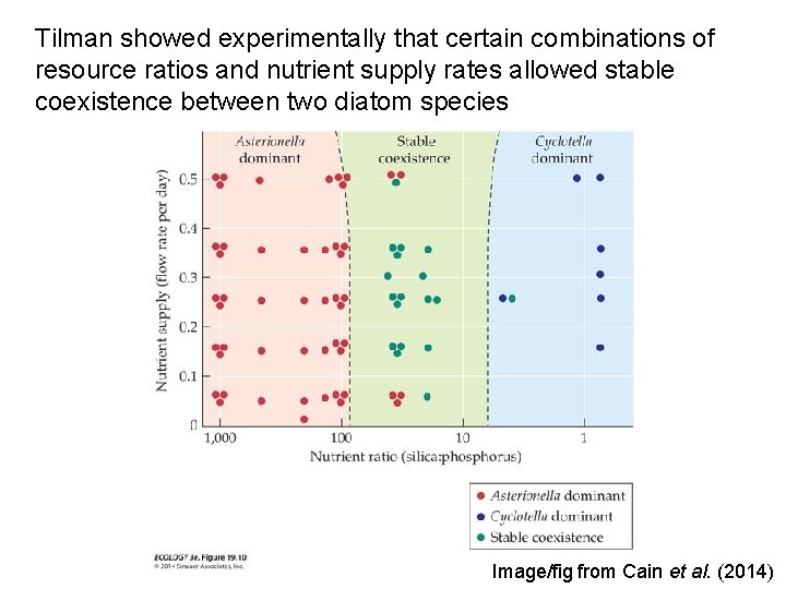 Tilman showed experimentally that certain combinations of resource ratios and nutrient supply rates allowed